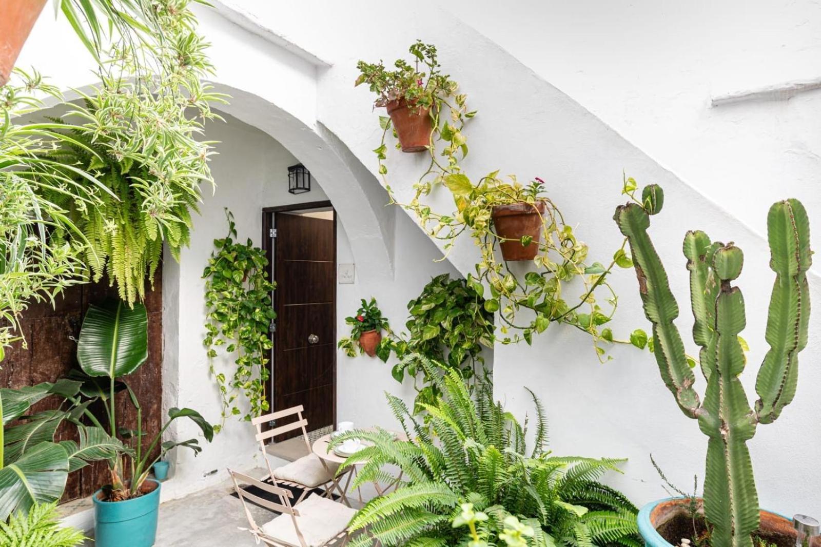 Casa La Fontana 3 Apartment Vejer de la Frontera Ngoại thất bức ảnh